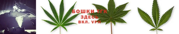 дурь Алагир