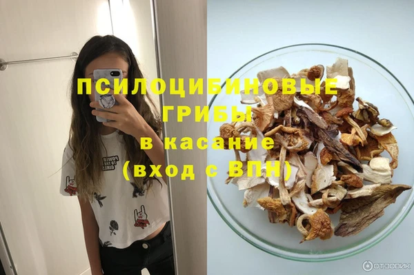 spice Алзамай