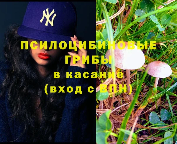 spice Алзамай