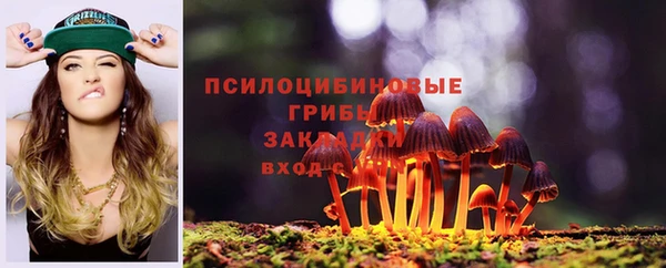 spice Алзамай